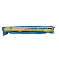 Simple school plastic flute